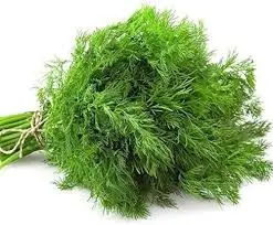 Adya Organics Soya Saag (Soya Greens) - 500gms